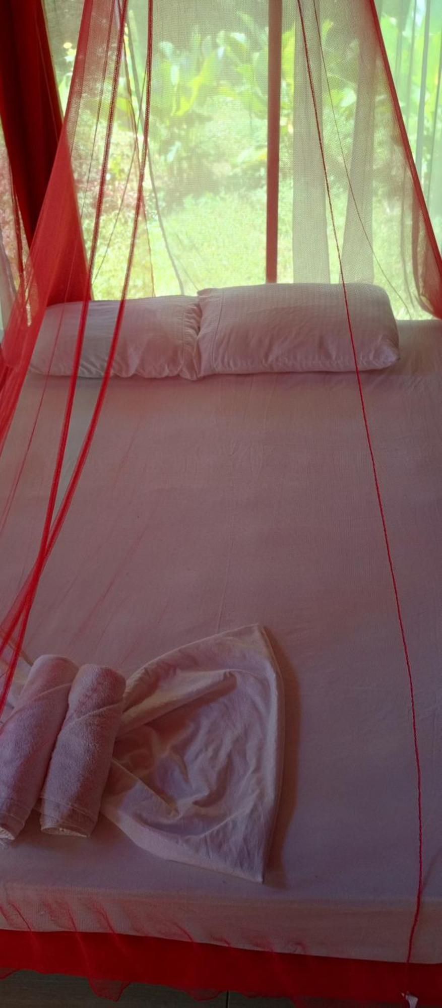 Hostal Zirumake Dentro Del Parque Tayrona El Zaino Extérieur photo