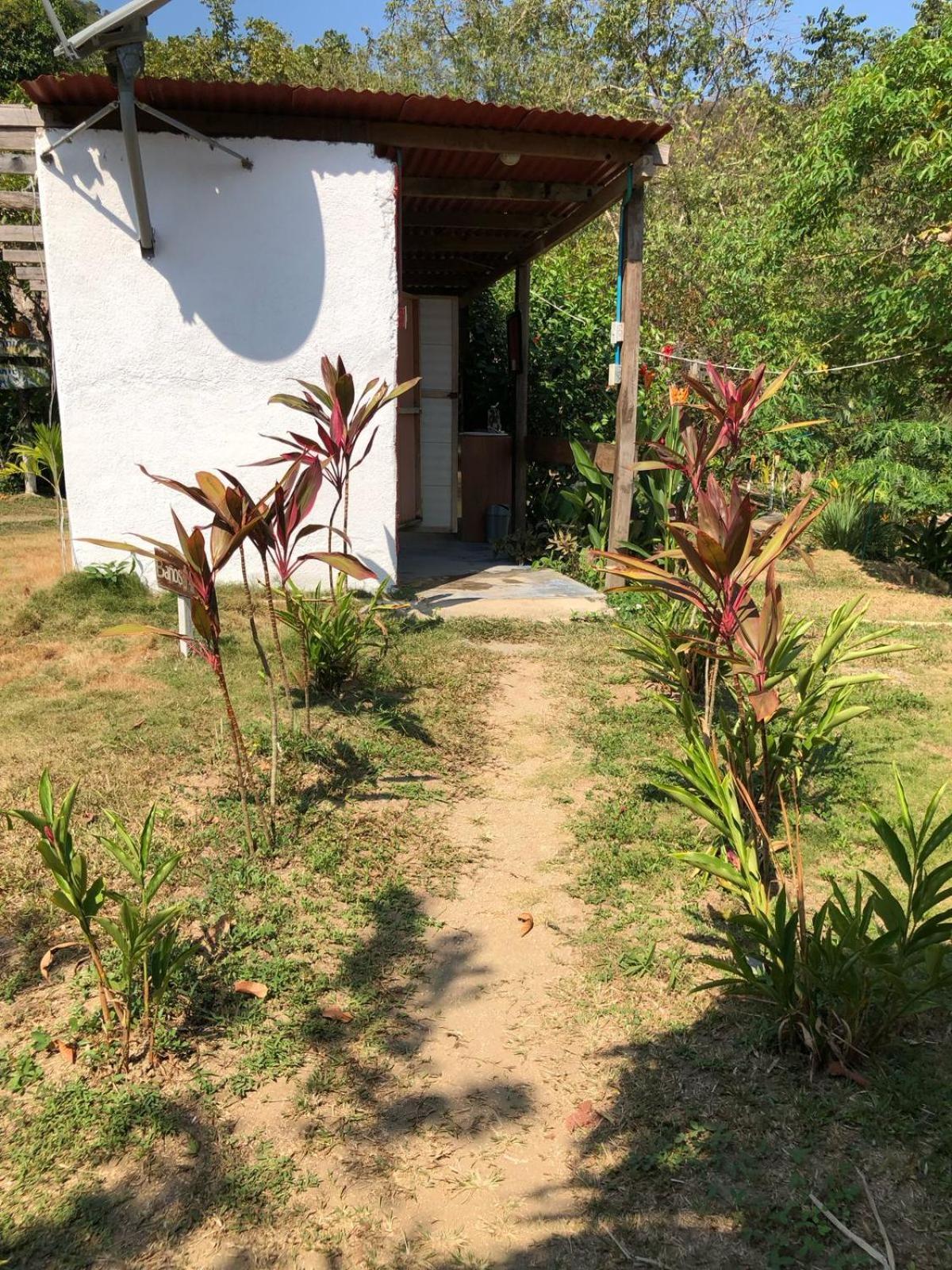 Hostal Zirumake Dentro Del Parque Tayrona El Zaino Extérieur photo